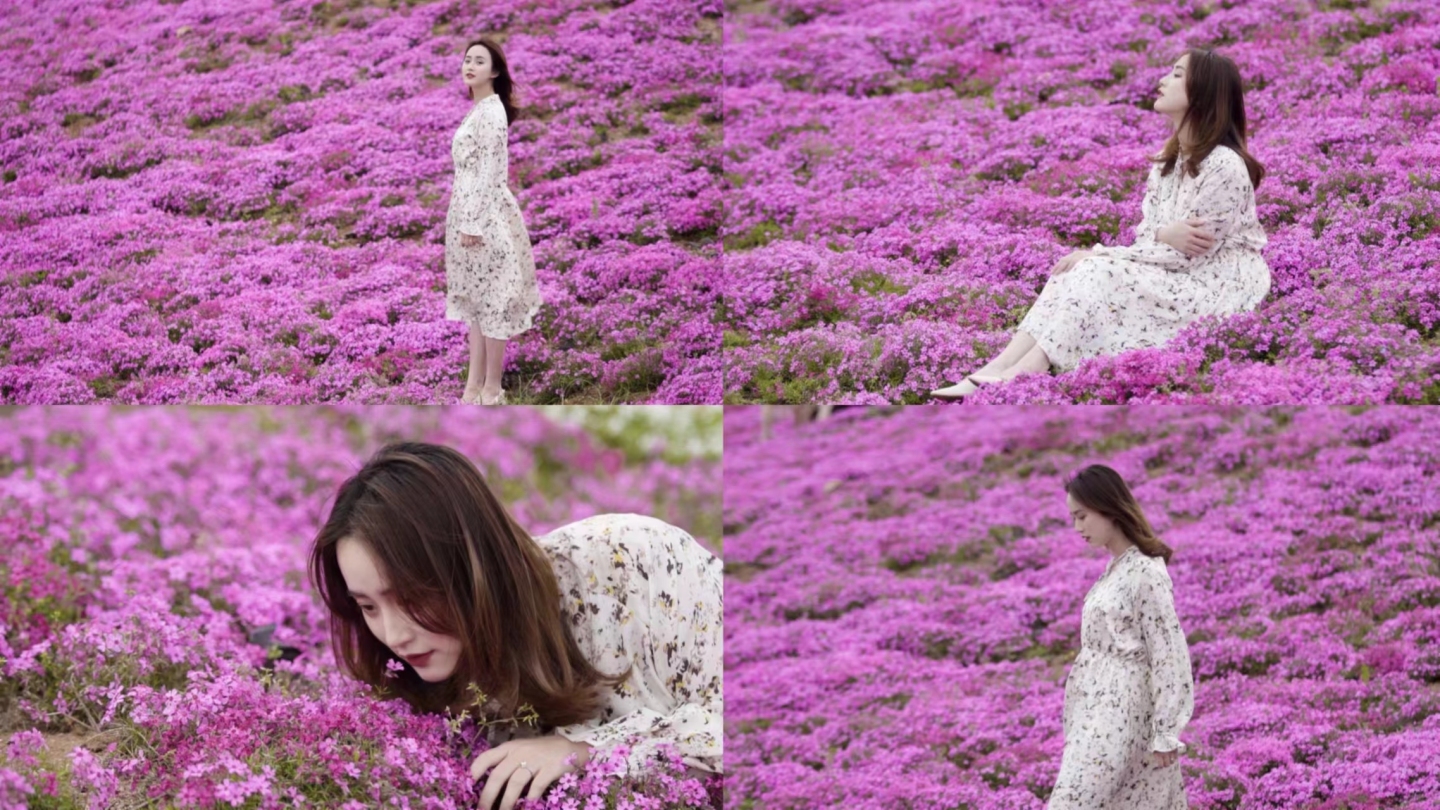 年轻女子躺在粉色的芝樱花海中