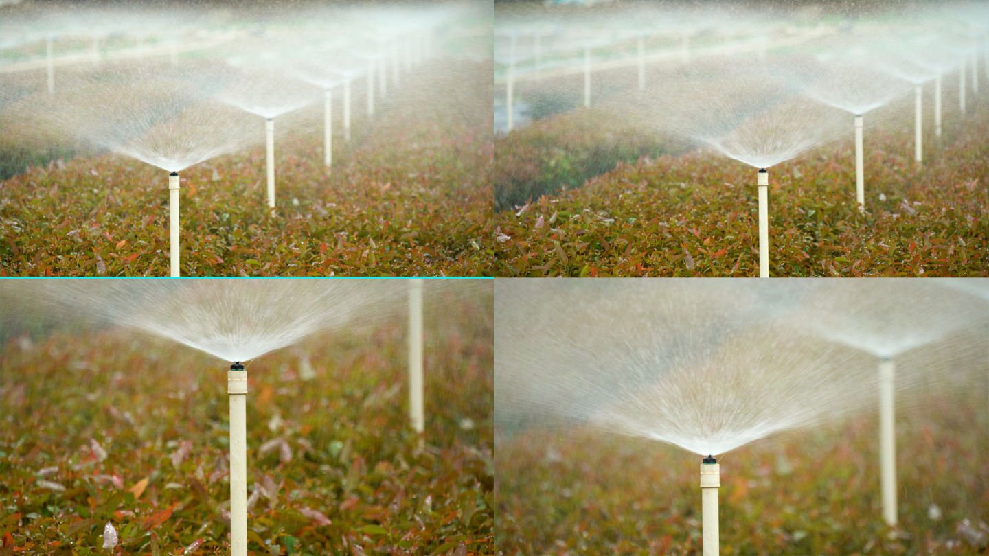 4K灌溉喷洒现代农业自动灌溉
