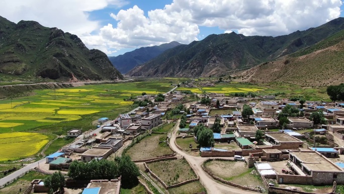 西藏乡间路拍-7