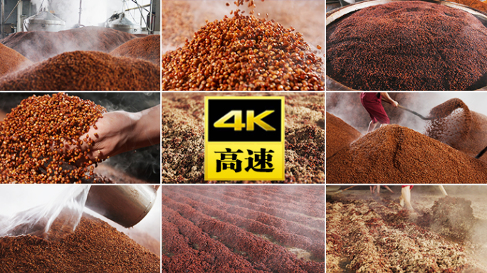 酒高粱红高粱白酒酿酒酒窖发酵下沙投粮酒曲