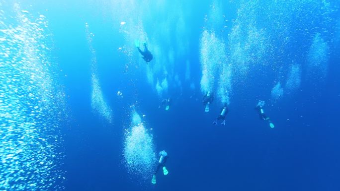 马尔代夫潜水拍摄