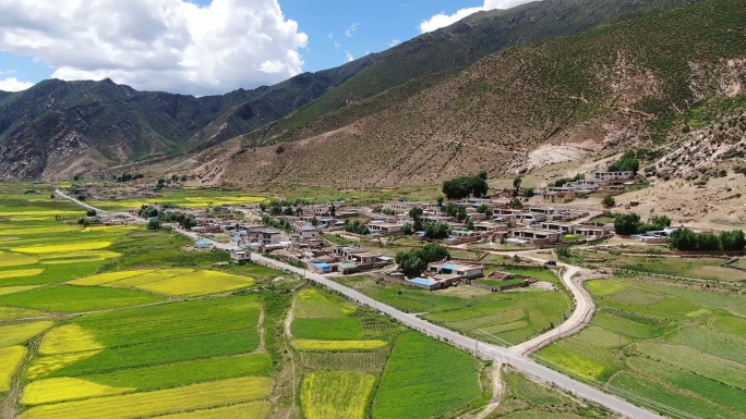 西藏乡间-2