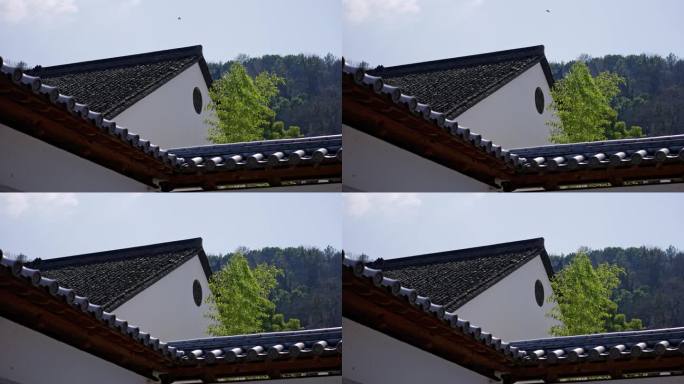 中式庭院围墙 飞鸟掠过