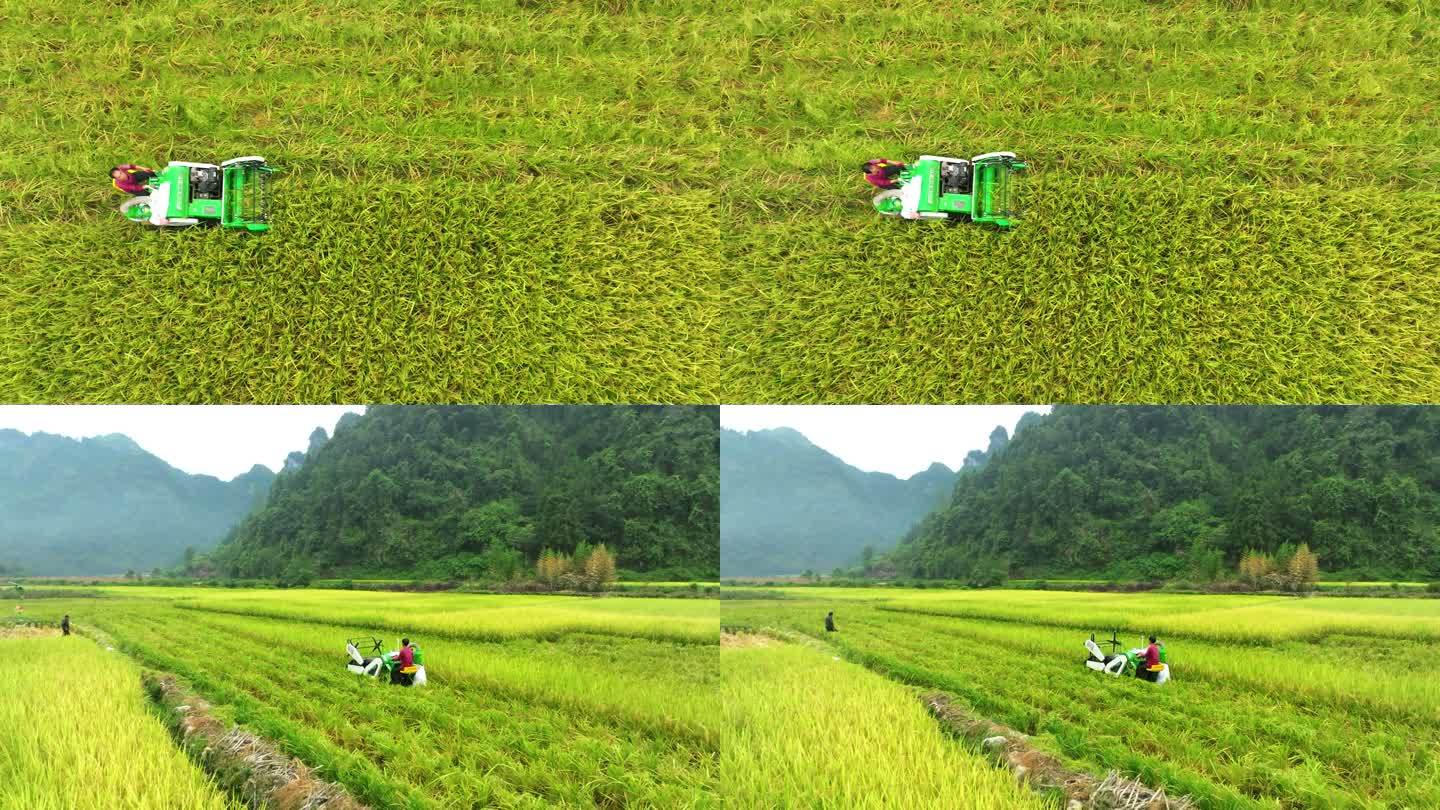 4K航拍农村收割机收割水稻