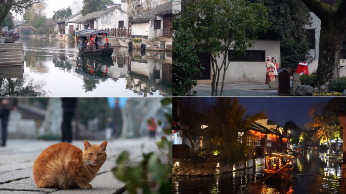 南浔古镇古镇日常生活琐碎猫夜景游船