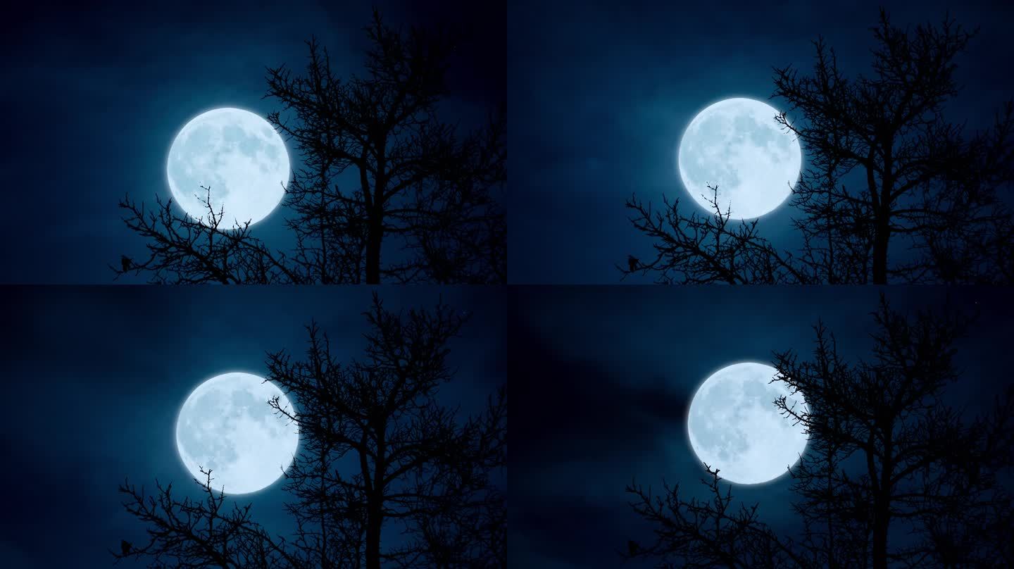 月亮高清实拍