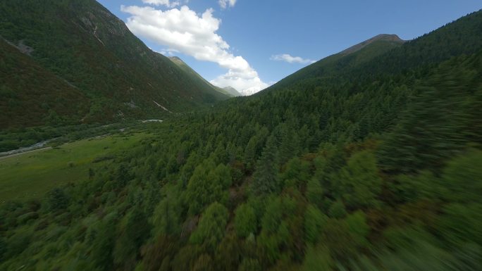 4K穿越机航拍雅拉雪山溪流自然树林