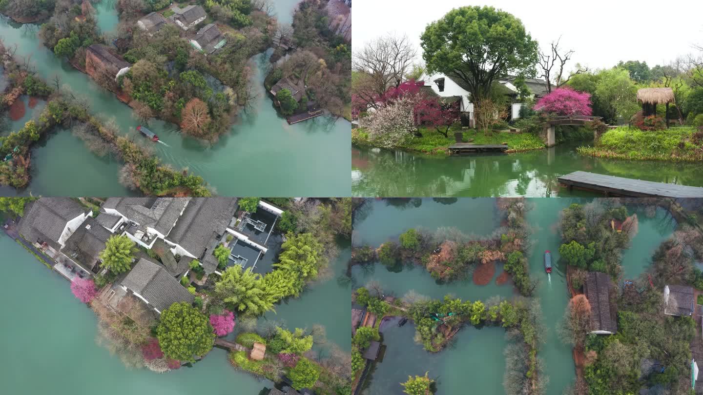 杭州西溪湿地公园初春中式庭院梅花盛开航拍