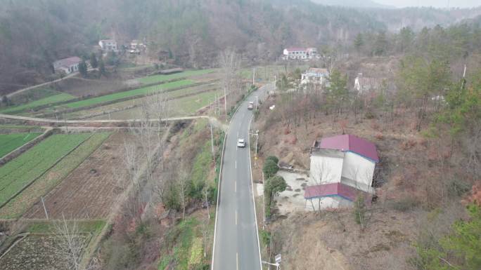 湖北随州中国千年银杏谷景区道路车辆跟拍