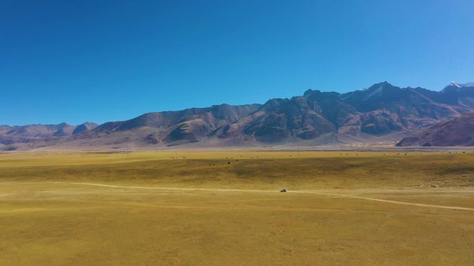西藏自驾游 自驾草原 自驾土路