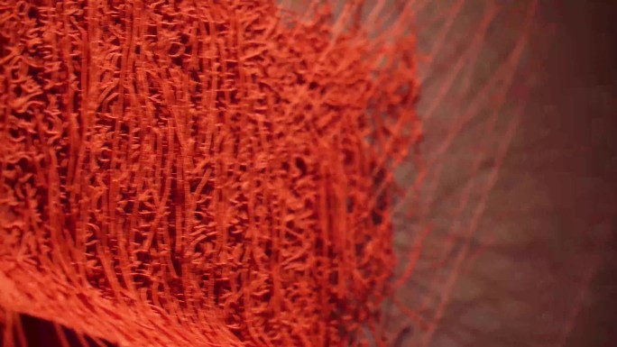 【镜头合集】红色刺绣纤维  (2)