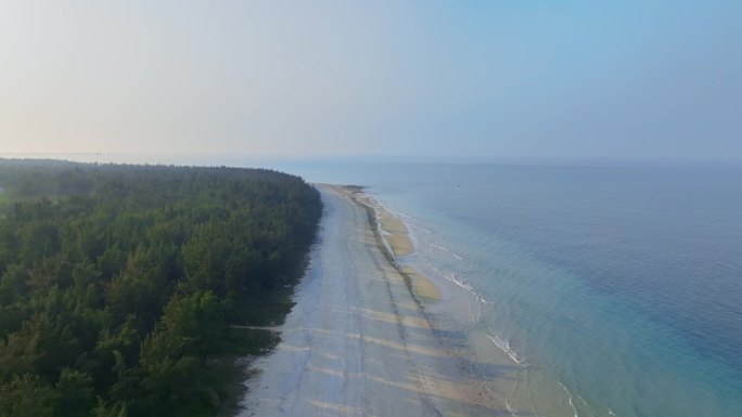 4K正版-海岛风光 海洋海岸线沙滩森林D