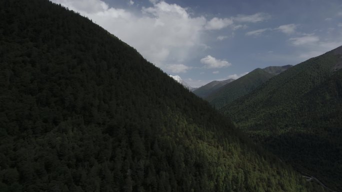 4K航拍雅拉雪山溪流自然树林
