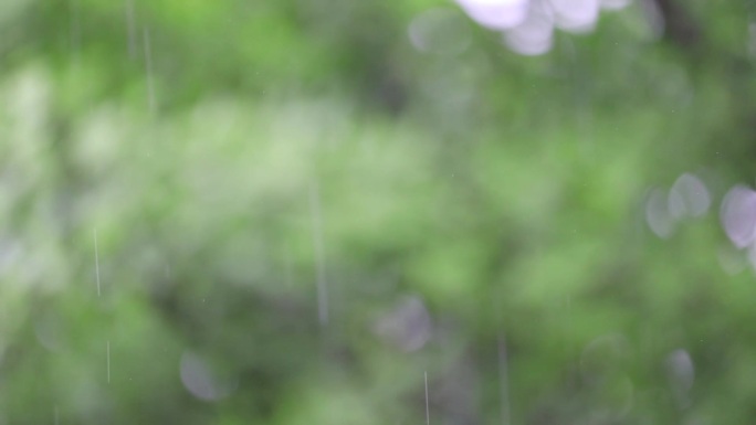 下雨天雨丝实拍清新空镜