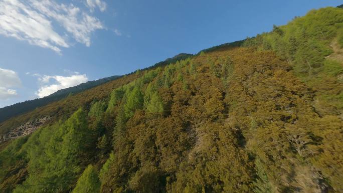 4K穿越机航拍雅拉雪山溪流自然树林