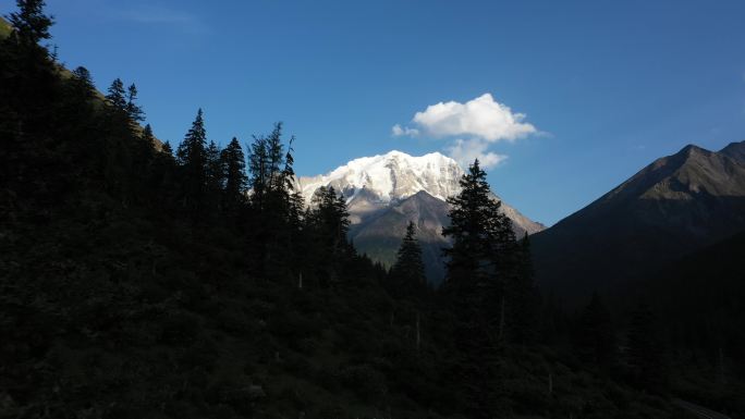 4K航拍雅拉雪山溪流自然树林