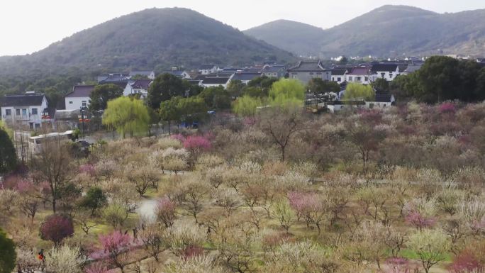 太湖光福风景 4K