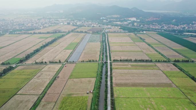 江门台山收割机割稻子丰收机械化生产