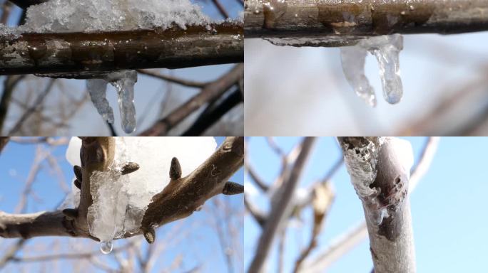 雪融化滴水