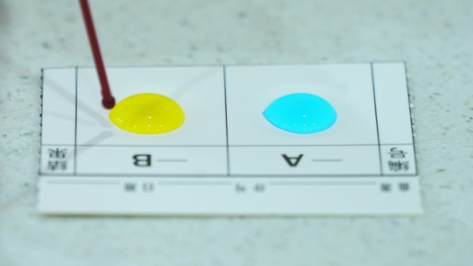 【4K】简易血型检测 血库ABO血型检测