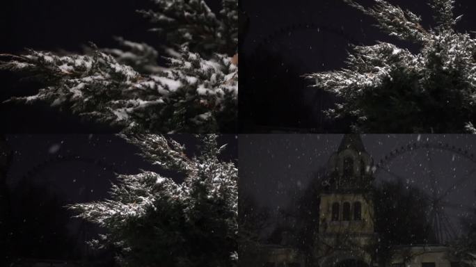 冬季雪天松树升格下雪