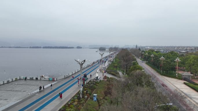 昆明滇池大坝海鸥航拍