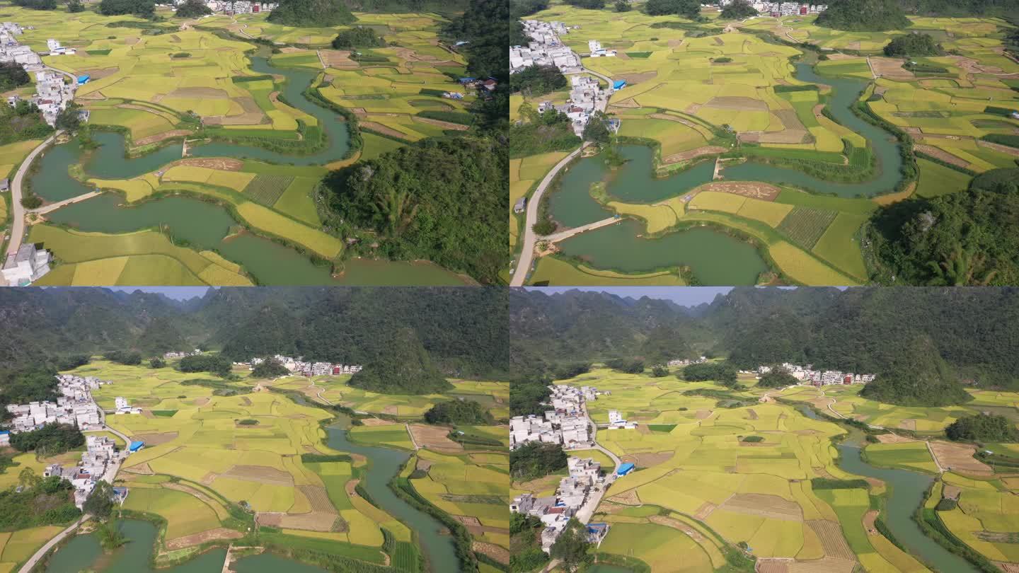 广西靖西市平江村秋色 稻田  田园