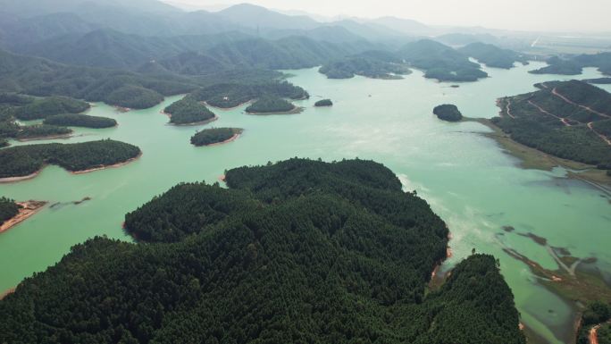 广东台山林场江门绿化生态环境林业基地