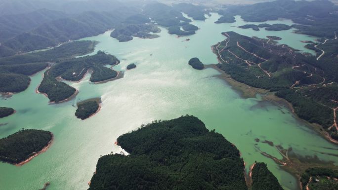 广东台山林场江门绿化生态环境水库林业基地