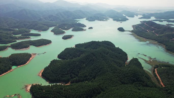 广东台山林场江门绿化生态环境林业基地