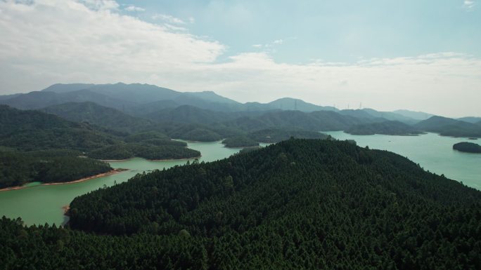 广东台山林场江门绿化生态环境林业基地