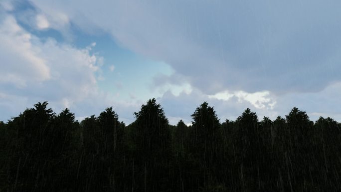 大雨过后雨过天晴