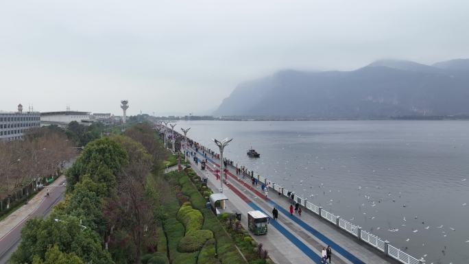 昆明滇池大坝海鸥航拍