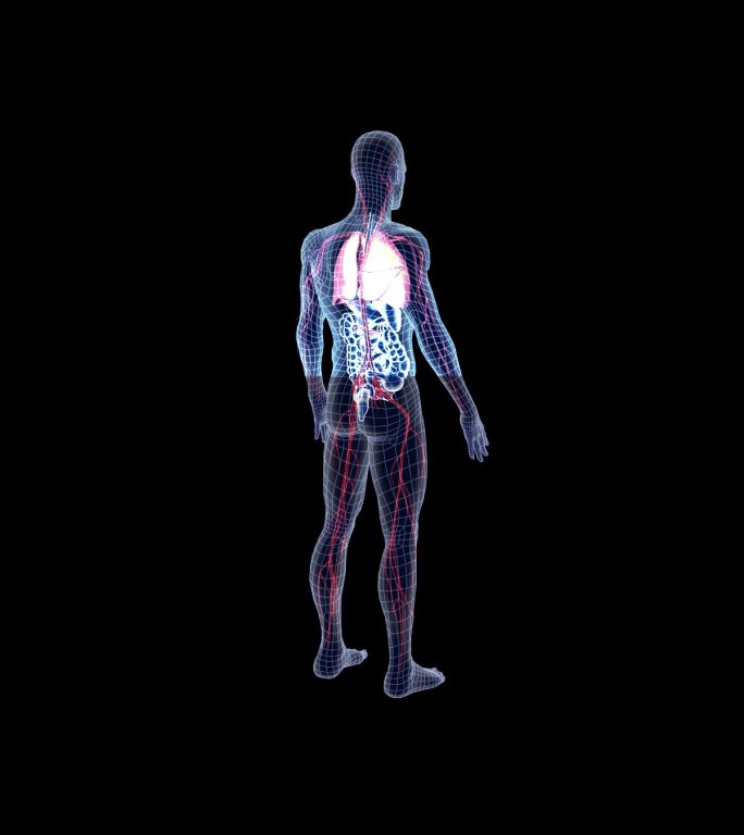 人体科技网格扫描循环视频素材