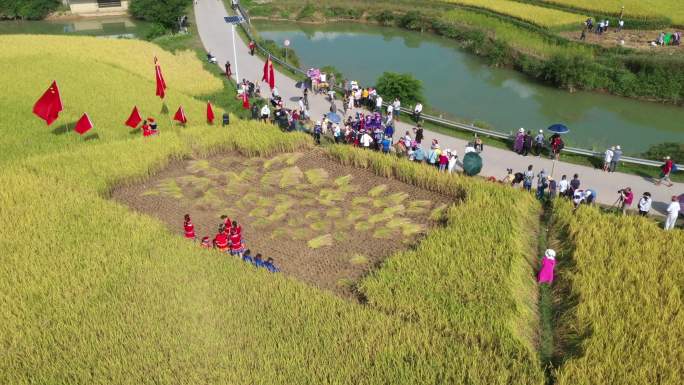 广西靖西市平江村秋色 稻田  田园