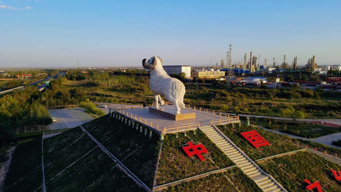 宁夏盐池滩羊4K航拍素材多景别