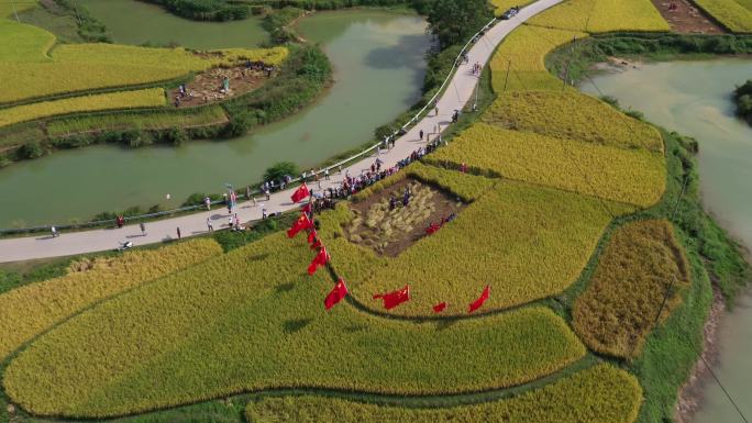 广西靖西市平江村秋色 稻田  田园