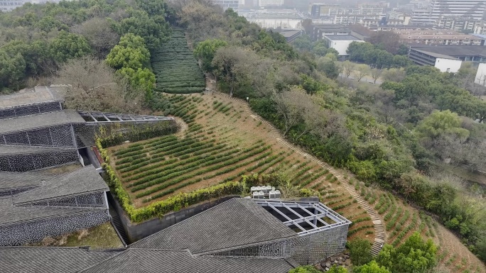 中国美院 象山校区