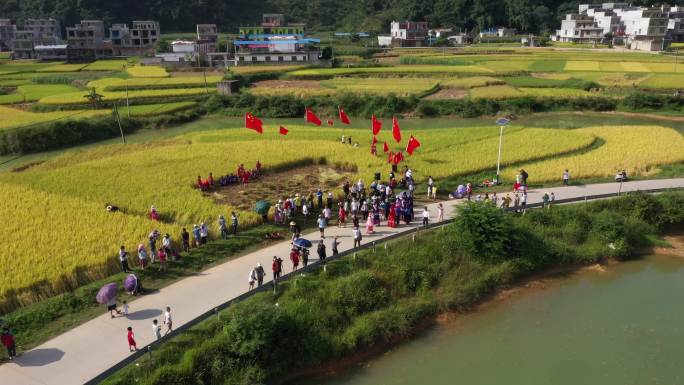 广西 靖西市平江村秋色 稻田  田园