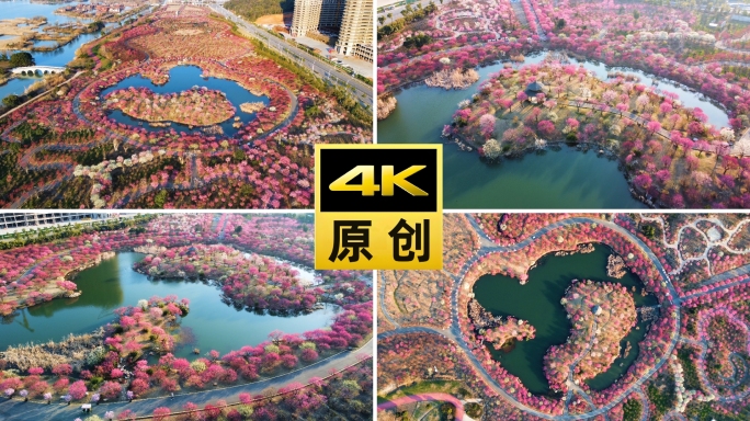 湖州龙之梦东方盆景园航拍