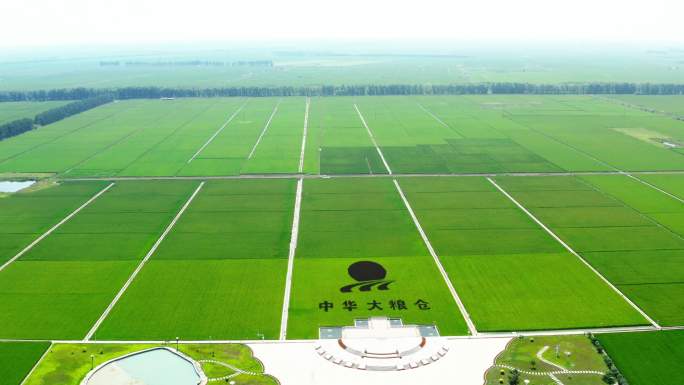 建三江农业种植大片稻田水稻航拍广袤农田