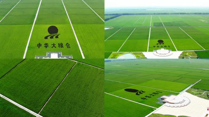 农业种植大片稻田水稻航拍广袤农田建三江