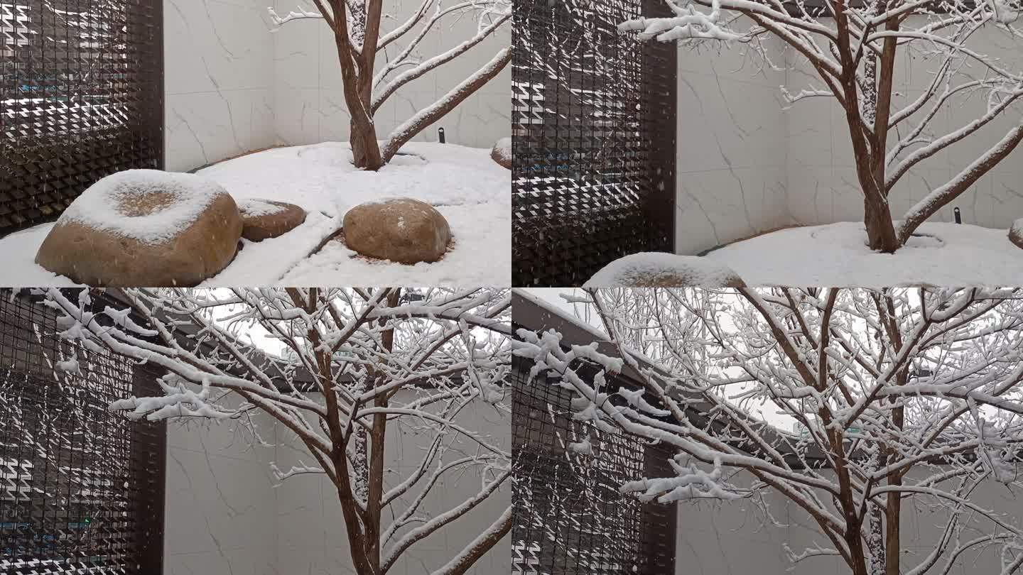 中国北方城市石家庄传统天气冬天下雪天