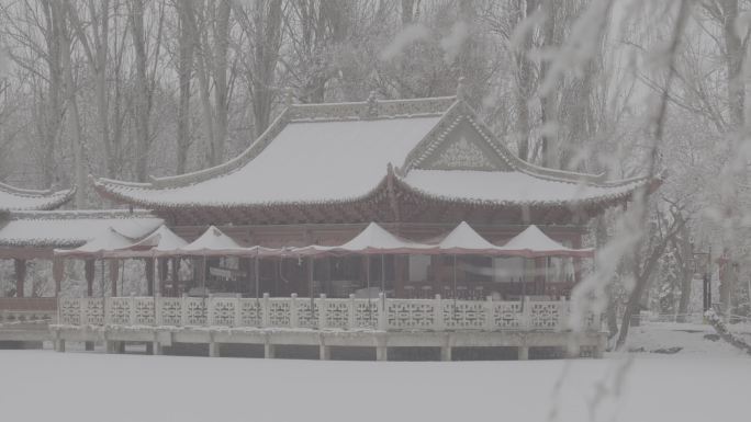酒泉公园西汉胜迹冬季雪景灰片下雪