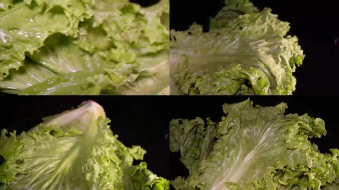 【镜头合集】奶油生菜绿菜叶健康蔬菜(1)