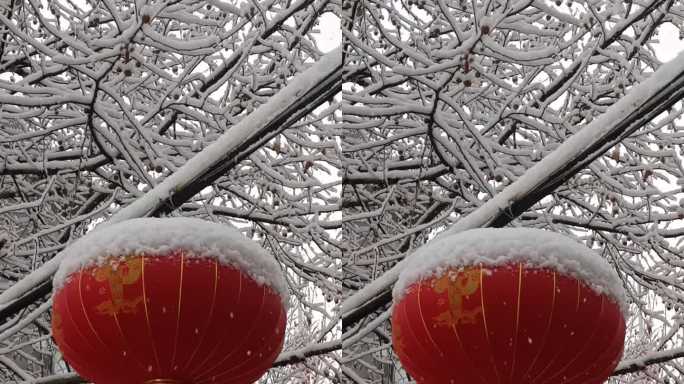 中国北方城市传统节日红灯笼天气冬天下雪天