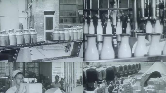 上世纪奶业产业链 牛奶灌装 牛奶厂