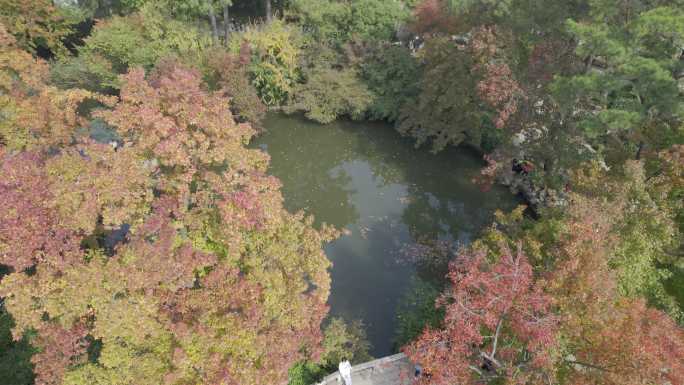 苏州天平山枫叶航拍