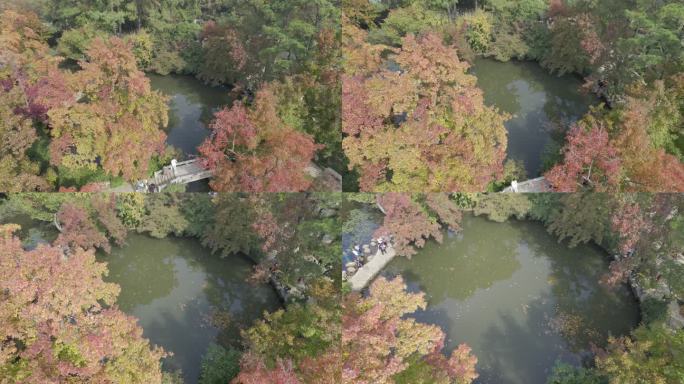 苏州天平山枫叶航拍