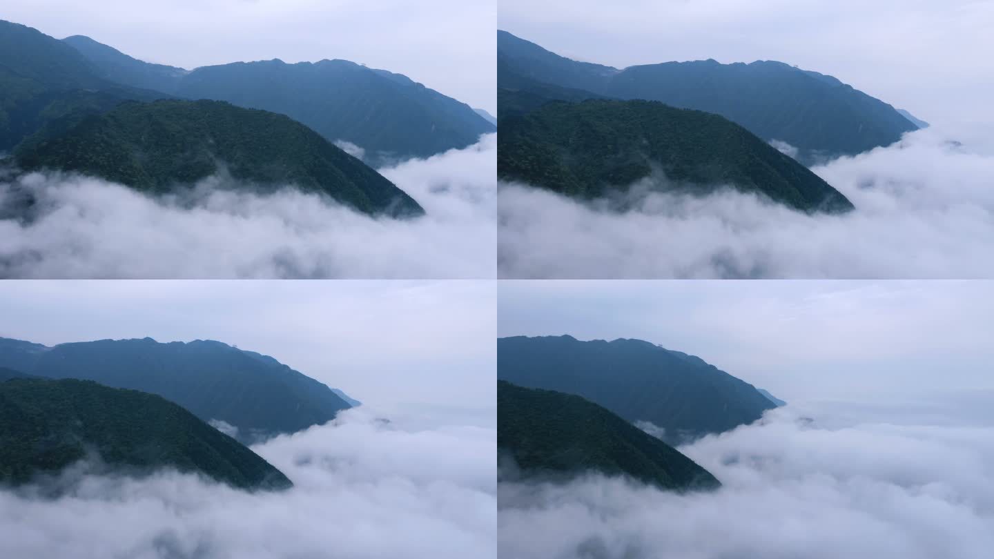 云雾环绕的庐山航拍视频